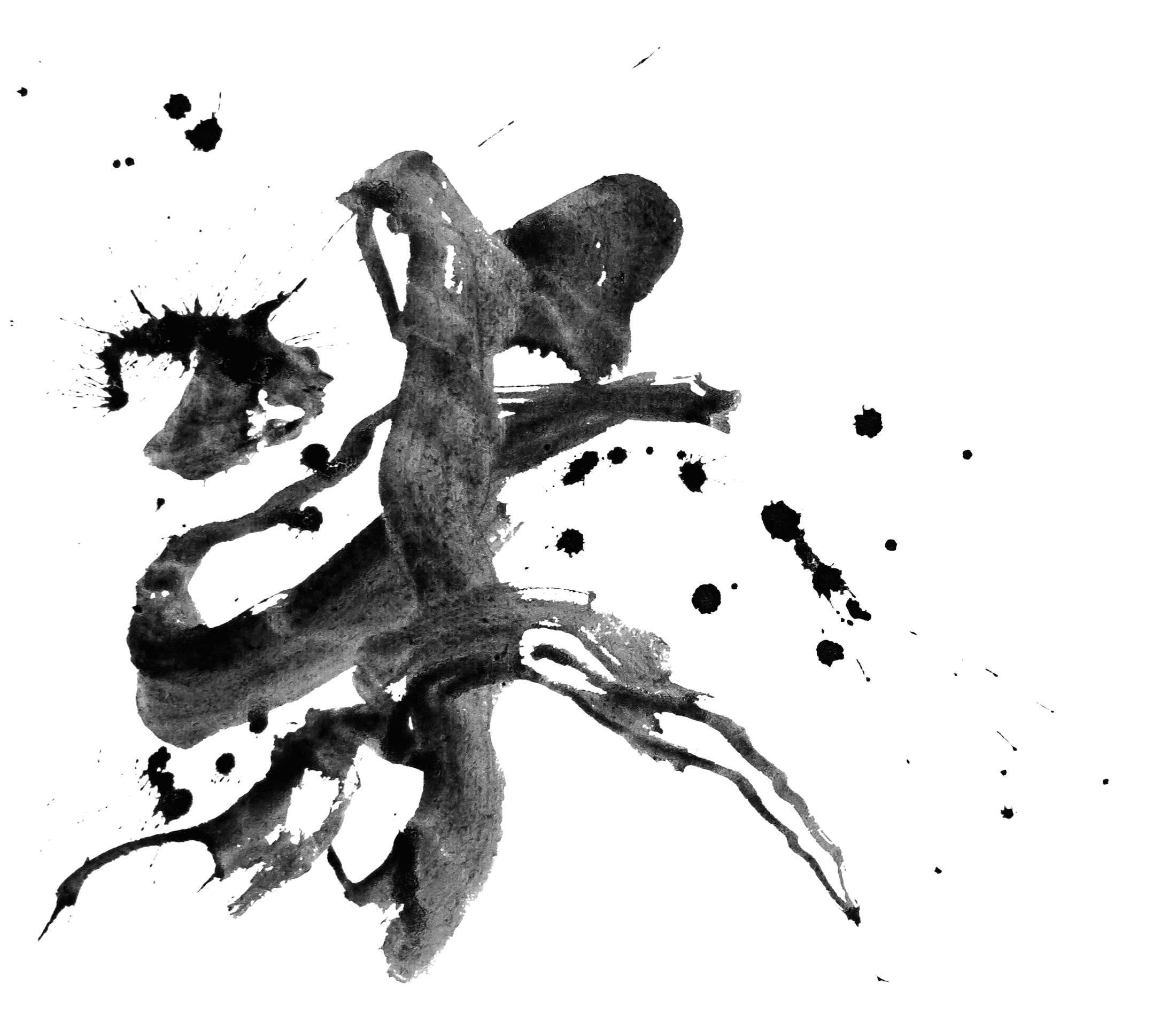 セクション３の画像